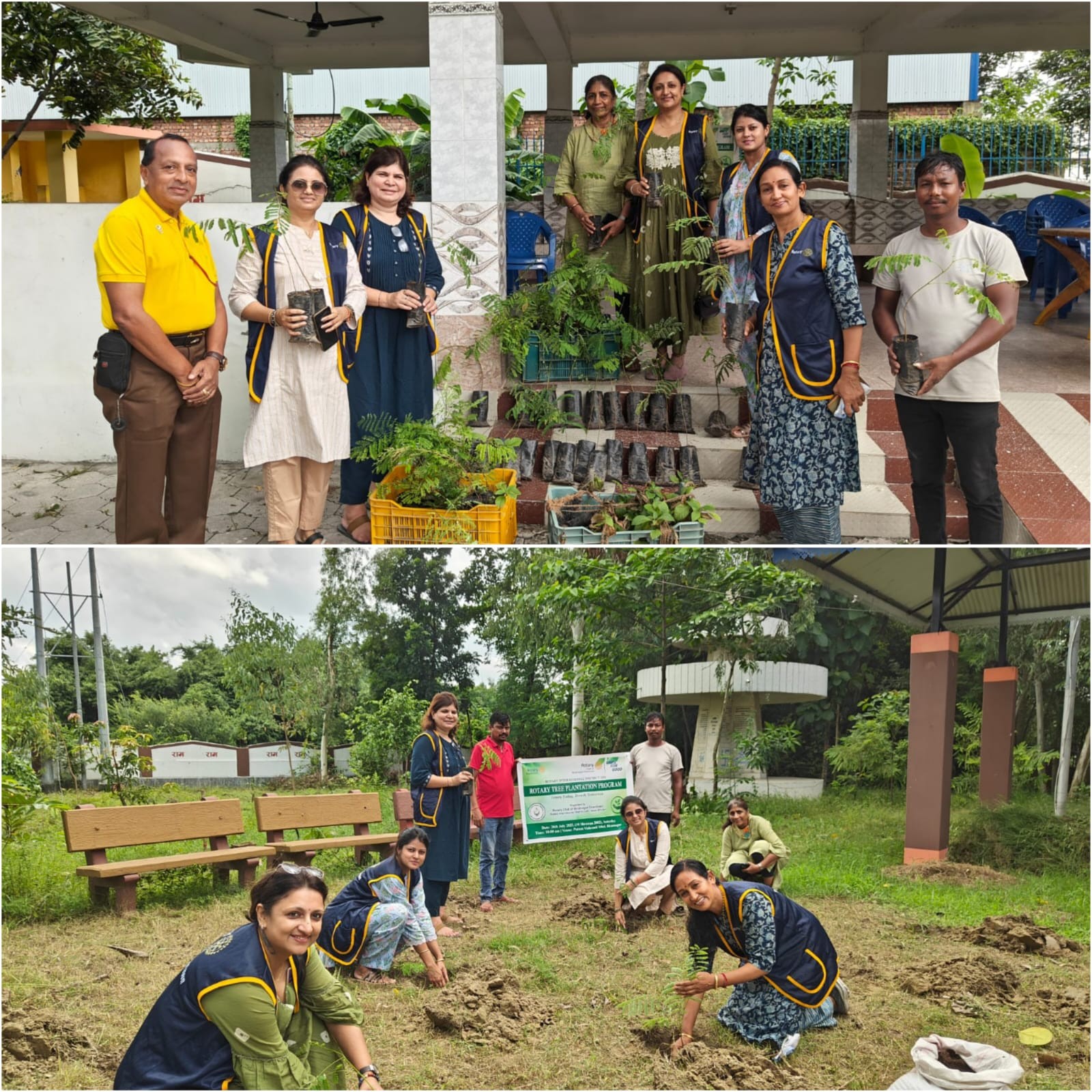 Rotary Plantation Program