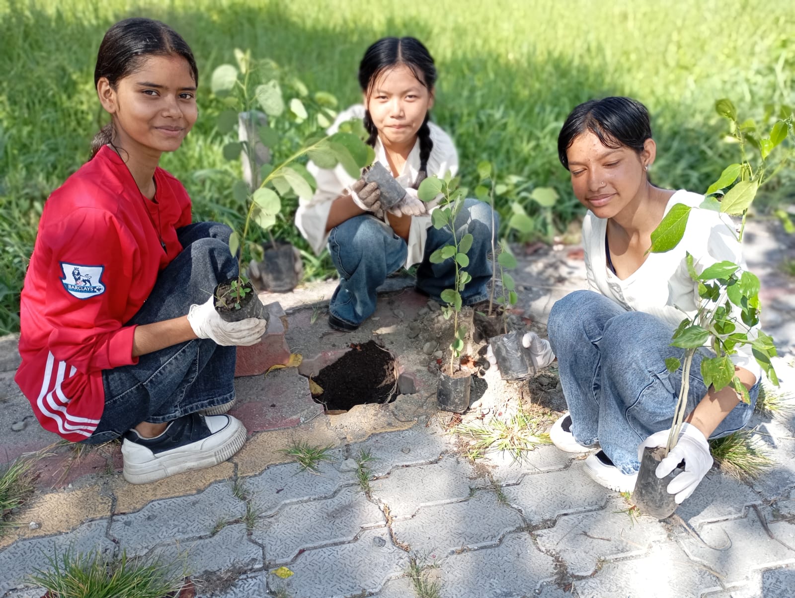 Tree Plantation Program (July 01, 2025)