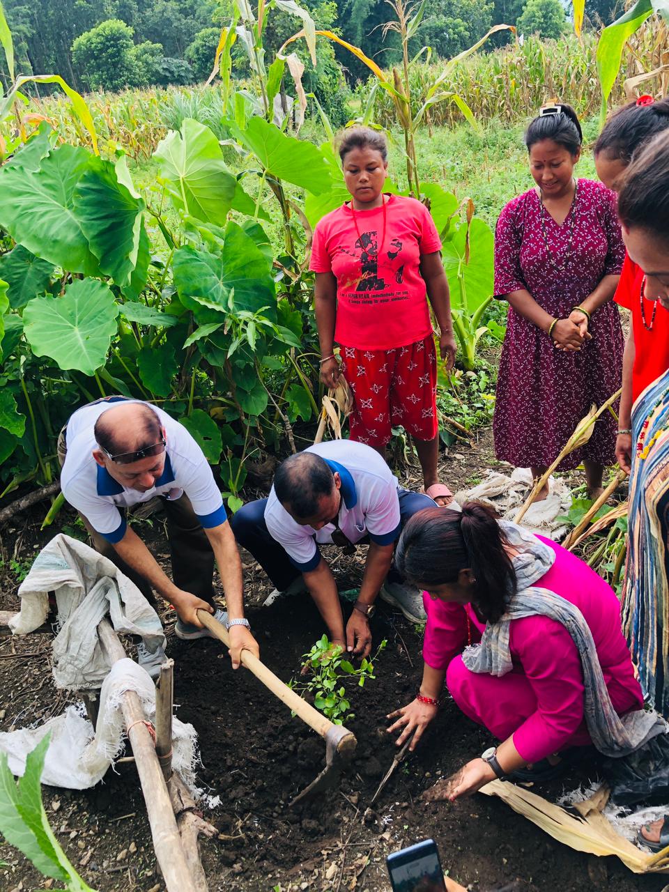 25th July 2025 - Tree plantation program completed at  RCC Handikhola, Manahari Rural Municipality