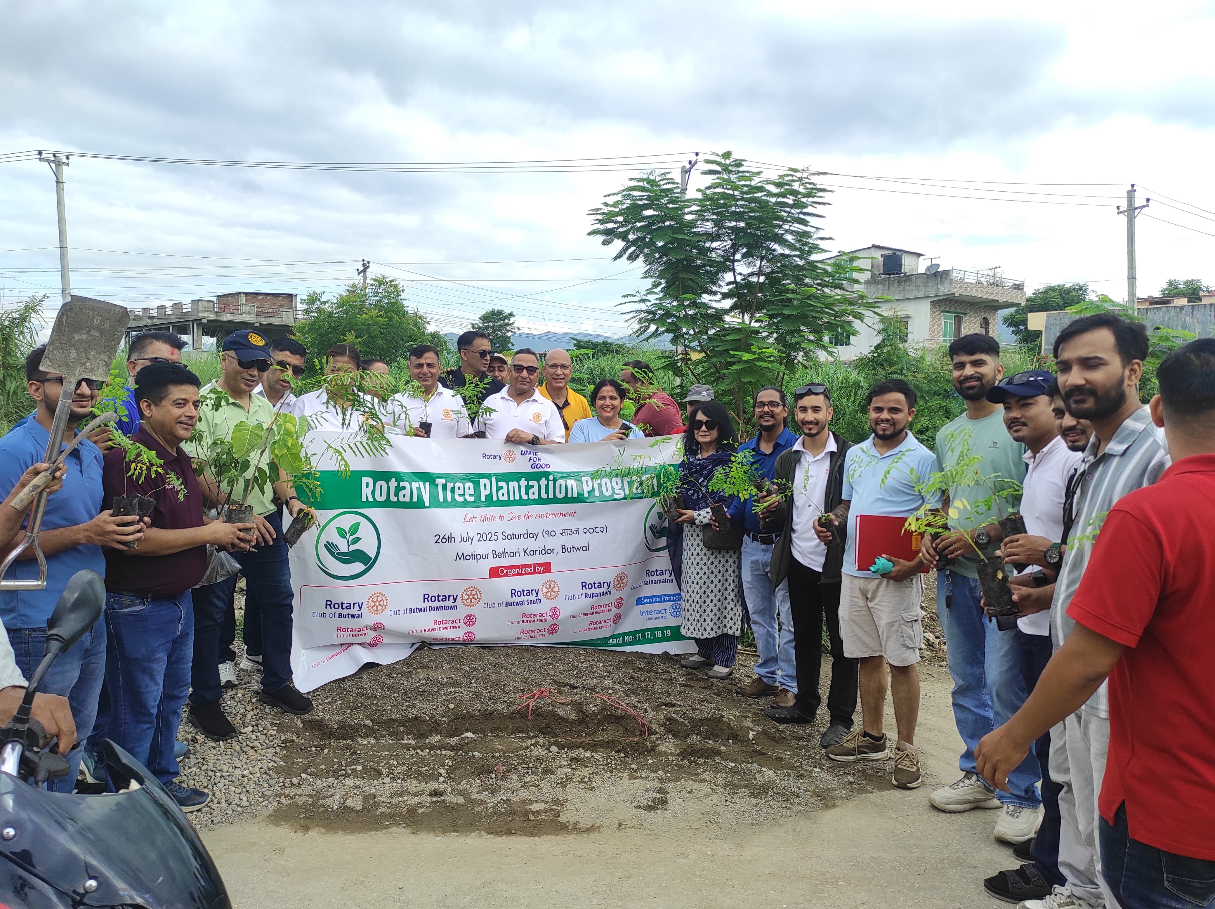 Tree Plantation